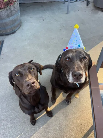Riley & Ruby