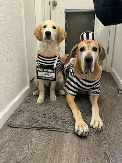 Elphaba & Molly